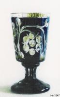 Hs_1047 Hs_1047